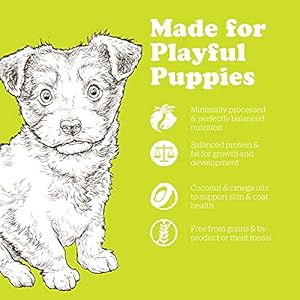 Now-Fresh-Dry-Dog-Food-for-Small-Breed-Puppies-Turkey-Salmon-and-Duck-Recipe-35-lbs-Grain-Free-Small-Breed-Puppy-Food-Made-with-Real-Meat-and-Fish-for-Small-and-Mini-Breeds - Cucciolini Doodles   Now-Fresh-Dry-Dog-Food-for-Small-Breed-Puppies-Turkey-Salmon-and-Duck-Recipe-35-lbs-Grain-Free-Small-Breed-Puppy-Food-Made-with-Real-Meat-and-Fish-for-Small-and-Mini-Breeds