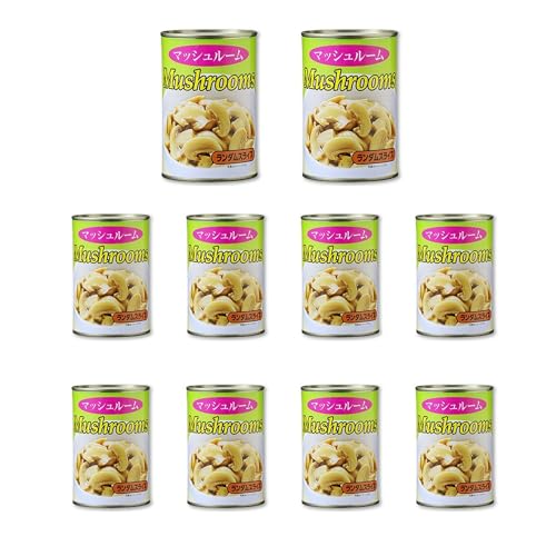 Vandro }bV[(_XCX) 4 ×10  (VandroSt)