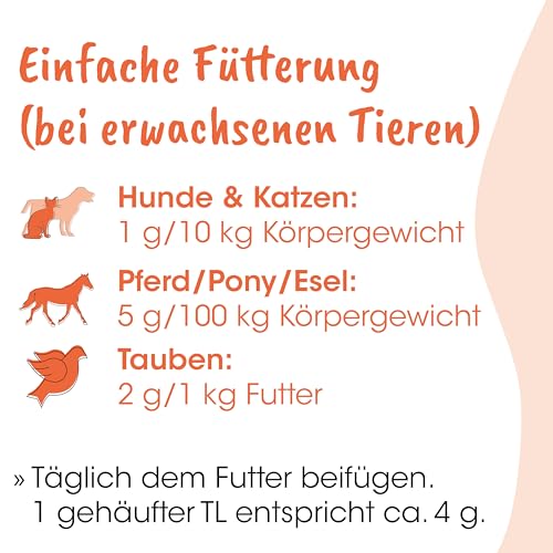 Singulares Rinder-Kolostrum pur 100% natürlich für Immunsystem 30 g