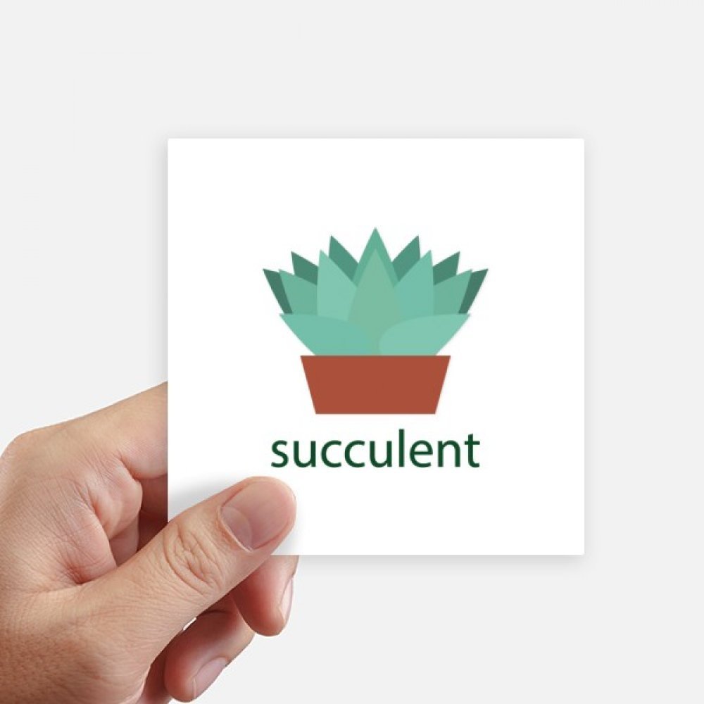 Sticker cactus pour valise et ordinateur portable 10x10cm lot de 8
