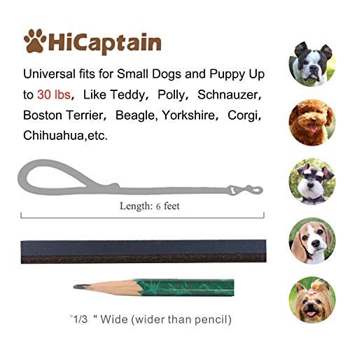 Hicaptain Thin Leather Dog Leash For Small Dogs Up To 15 Lb (1/3 Inch Wide, 6 Ft) #TOP6