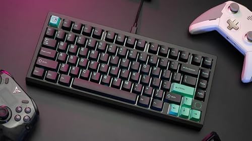 Meletrix BOOG75 HE Keyboard の商品画像 2