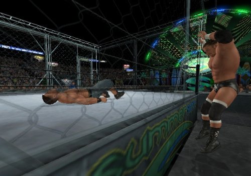WWE Smackdown vs. Raw 2009 [Edizione: Germania]