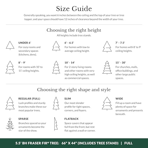 Image of Balsam Hill BH Fraser Fir - Full Christmas Tree with Most Realistic True Needle Foliage, Easy Plug Technology & Multiple Height and Lighting Options, LED Clear, 5.5ft