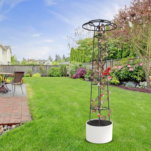 Structure de soutien pour plantes grimpantes tuteur robuste anti vent - 7