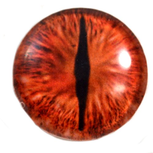 25mm Red Dragon Glass Eye Fantasy Eyeball for Taxidermy Sculptures or Jewelry Making Pendants Crafts 1 Inch Art Doll Wire Wrapping DIY Flatback Cabochon