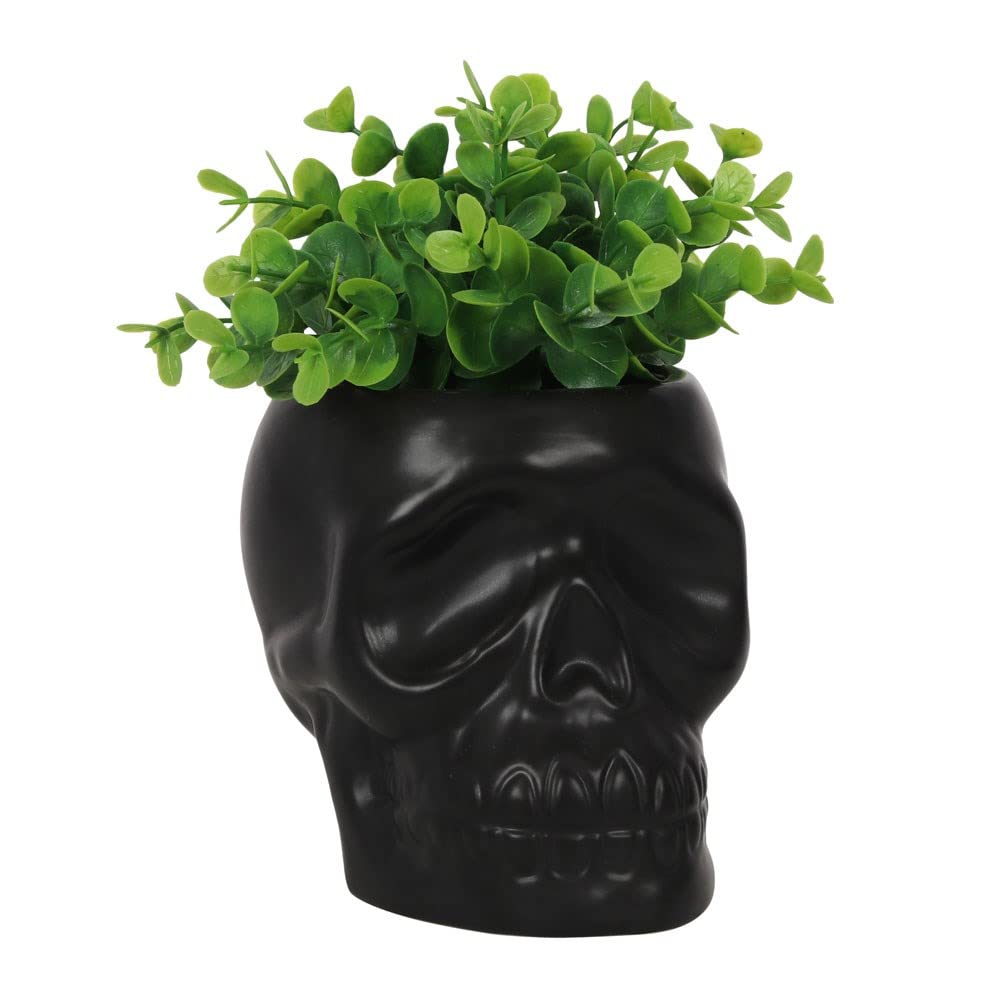 Pot de fleurs d'intérieur noir mat en céramique, hauteur 12 cm de style moderne