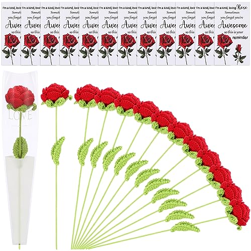 12 Sets Teacher Appreciation Gifts Crochet Roses Bouquet Knit Flowers with Card Inspirational Gifts for Employee Inspirational Gifts for Women Christmas Wedding Decoration