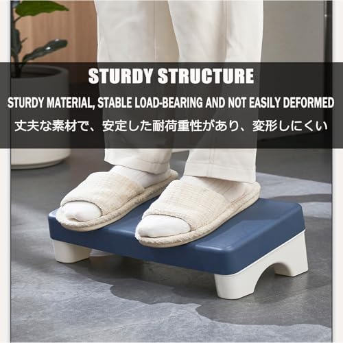 Heavy Duty Blue Plastic Step Stool for Kitchen, Bathroom, Office & Makeup - Versatile 2-Step Stool for Easy Access to Counters & Shelves, Durable & Safe