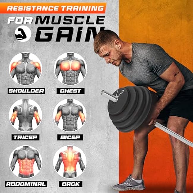 Yes4All Standard 1 Cast Iron Weight Plate - Ideal for Strength Training - Multiple Weight: 5LB to 25LB (Single & Set of 4)