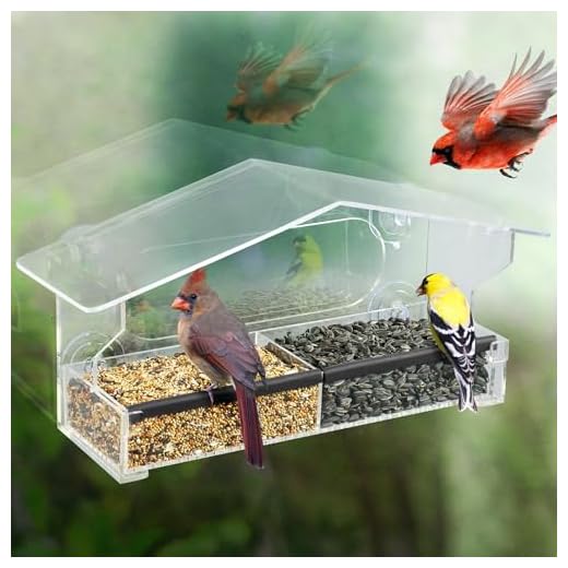 Kingsyard Window Bird Feeder with Strong Suction Cups, Clear Window Bird Feeder for Outdoors, Easy Refill & Clean Removable Tray, Ideal for Wild Watching, Garden Decor