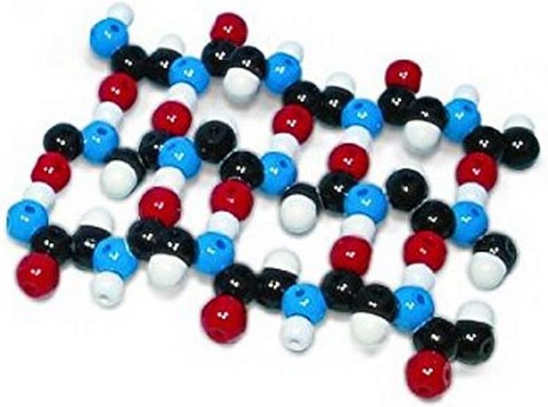 W19752 105 Piece Protein Beta-Pleated Sheet Molecular Model Kit