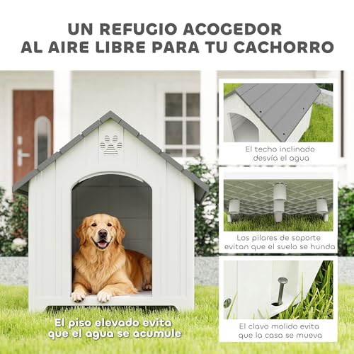 Photo complémentaire