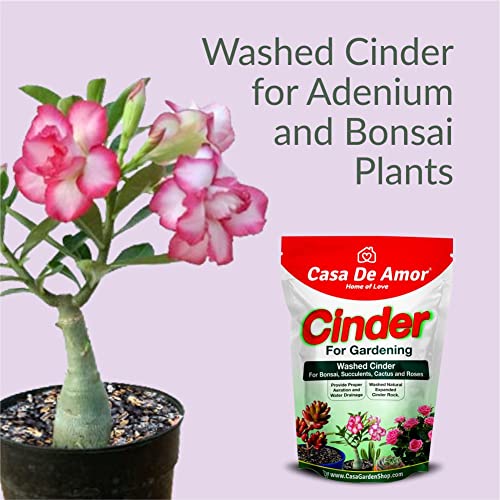Image of Casa De Amor Cinder for Gardening, Washed, for Bonsai, Succulents, Cactus and Roses Soil Mix (Also Called Sinder) (900 gm)
