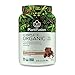 PlantFusion Complete Organic Plant Based Pea Protein Powder | Fermented Superfoods | Vegan, Gluten Free, Non Dairy, Soy Free, Chocolate, 2 LB
