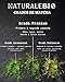 Imagen de NaturaleBio Té Matcha en Polvo Orgánico, 100g