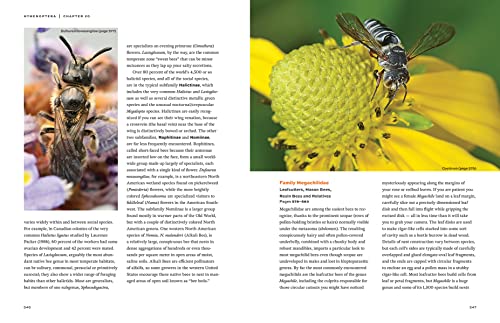 Hymenoptera: The Natural History and Diversity of Wasps, Bees and Ants - Image 10