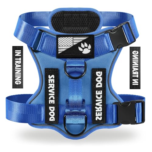 Demigreat Service pn[lXAˌpxXgn[lX5pb`tA߉\ȃ\tgIbNXtH[hybgn[lXACi[C[bVA^^^p̃Rg[ȒP