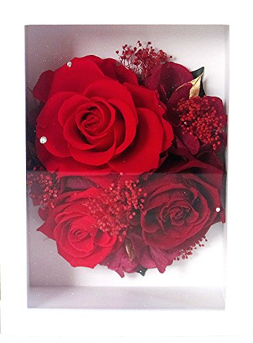 Amazon｜ベル・フルール(Belles Fleurs Tokyo) プリザーブドフラワー