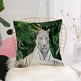Taie d'oreiller ，Motifs imprimés Housse Coussin,Tigre, chat albinos du Bengale assis sur un rocher en forêt Espèces indigèTaie d'oreiller Lavable Super Doux pour Maison Salon Chambre Bureau 45x45cm