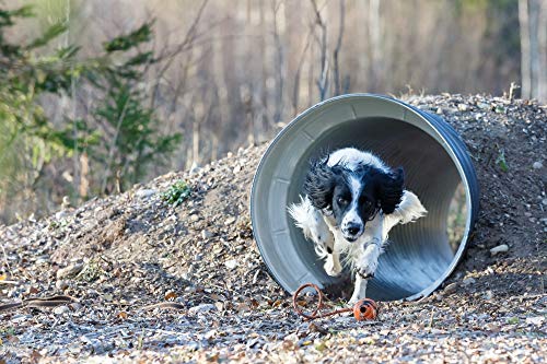 Playfulspirit Durable Natural Rubber Ball On A Rope - Perfect Dog Training, Exercise And Reward Tool - Medium Size Dog Toy For Fetch, Catch, Throw And Tug War Plays – Happy Playtime Guaranteed #TOP4