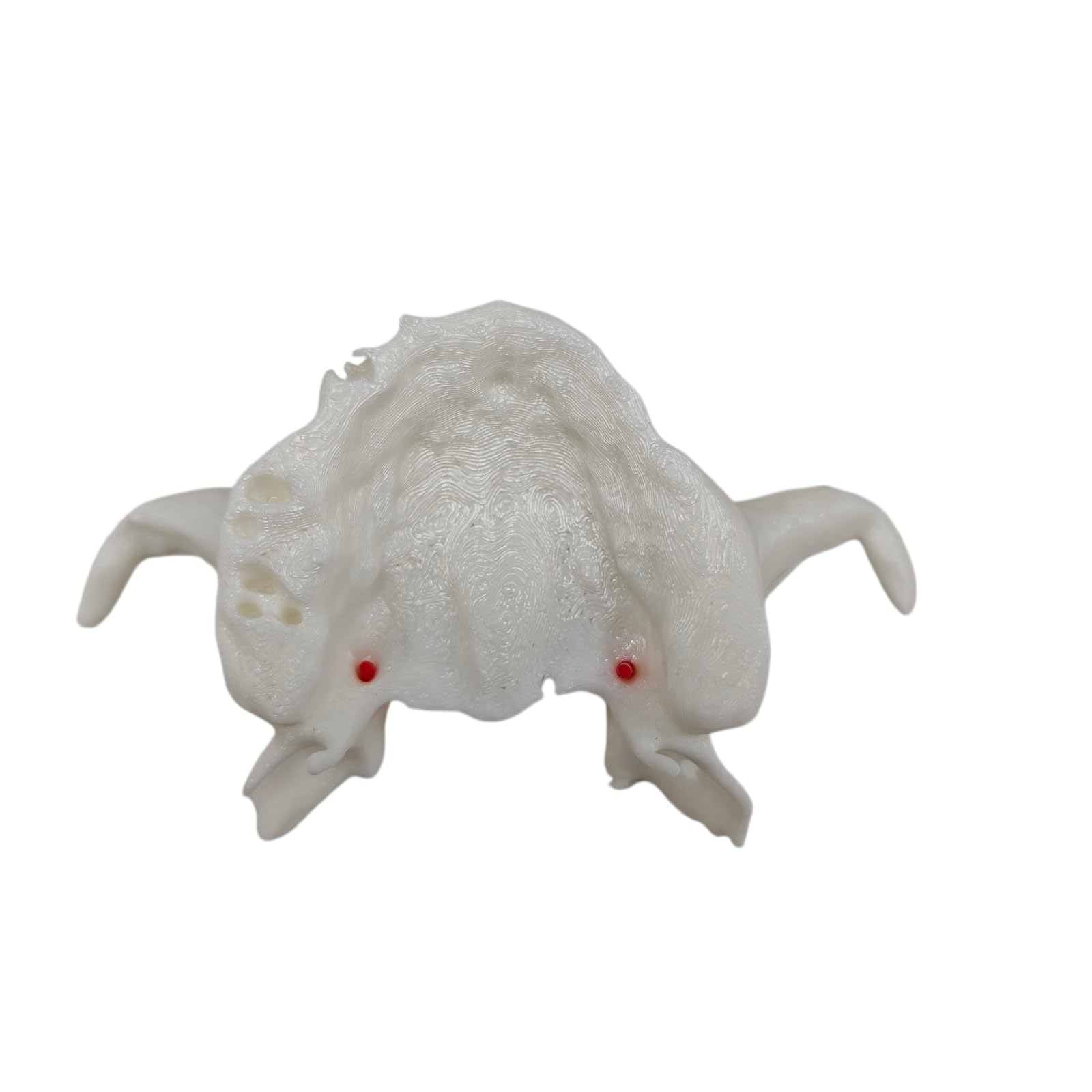 YRQMGSF Teeth Model Transpinnular Implantation Descending Palatine Artery Realistic Model