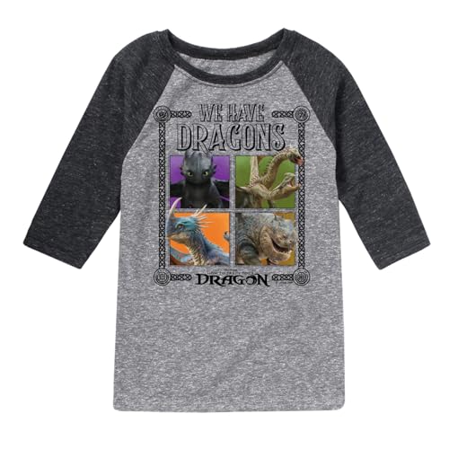 How to Train Your Dragon - We Have Dragons - Toddler and Youth Raglan