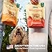 Jinx Oven-Baked Beef Bone Broth Biscuit Dog Treats - Crunchy, All Natural, Superfood-Rich with Grass-Fed Beef, Dog Biscuits for Puppies, Adults & Seniors - 16oz