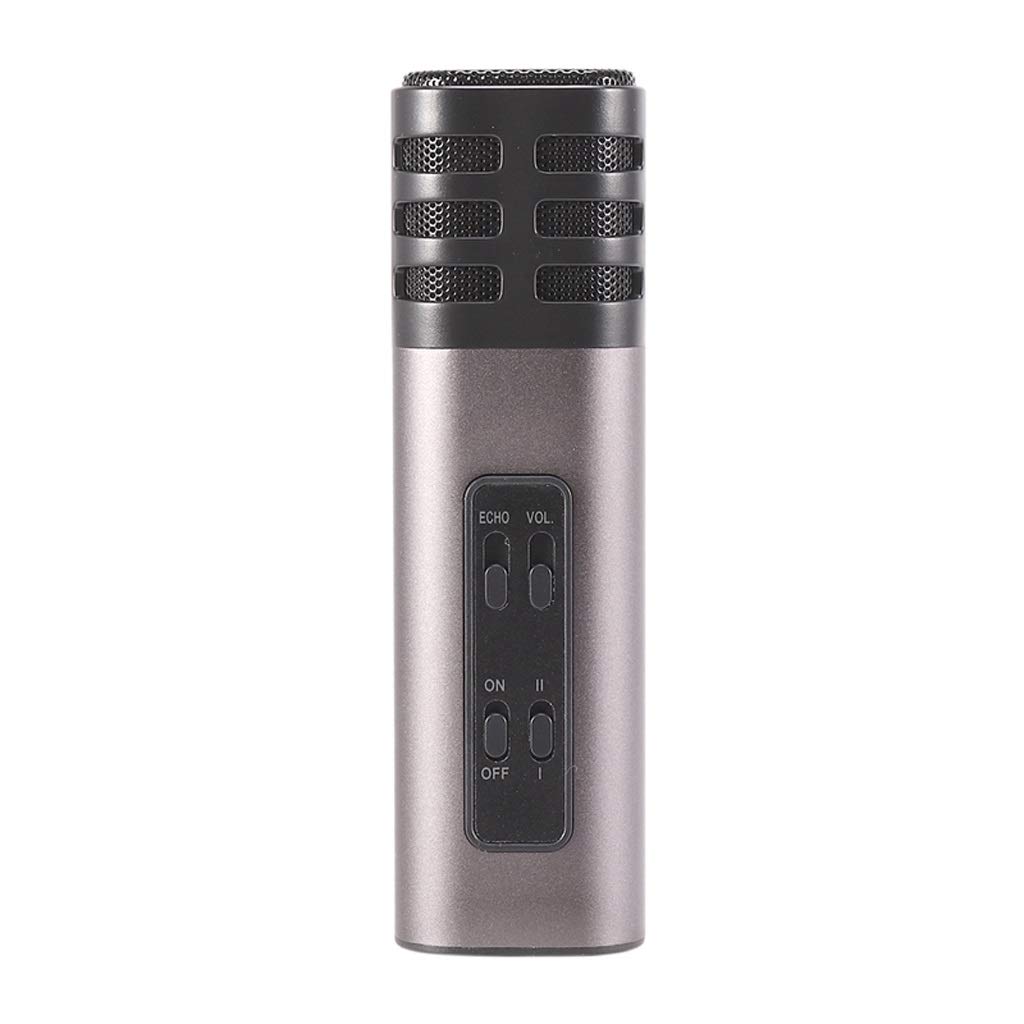 Microphone portable éliminant les bruits pour chanter et enregistrer