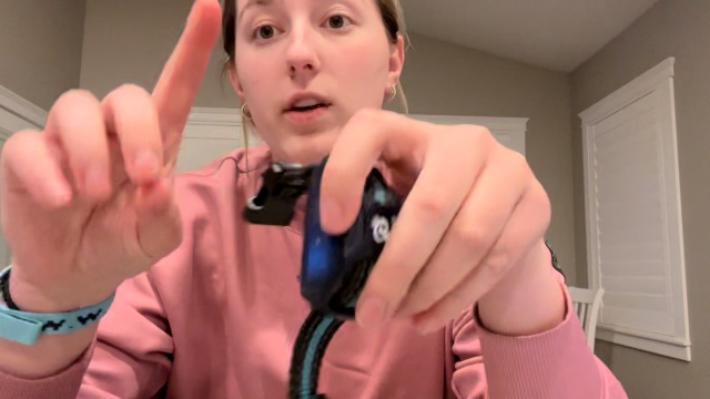 BOUSNIC Shock Collar Humane and Effective Dog Training
