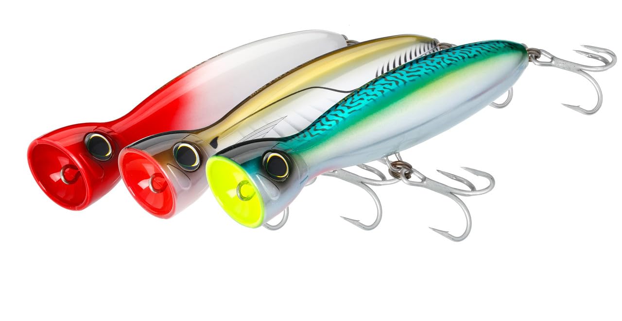 Amazon.com : Yo-Zuri R1371-HB: Mag Popper (F) 160Mm 6-1/4