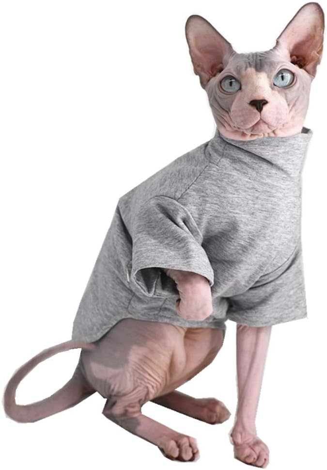 sphynx cat clothes amazon