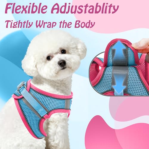 Image of AIITLE Step in Dog Harness and Leash Set - Summer No Pull Escape Proof Vest Harnesses with Soft Mesh and Reflective Bands, Adjustable Pet Outdoor Harnesses for Small and Medium Dogs Hot Pink M
