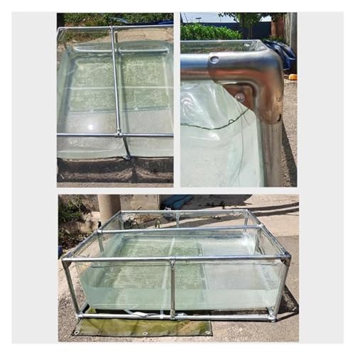 Piscine d'aquarium extérieur transparent pour poissons et étang