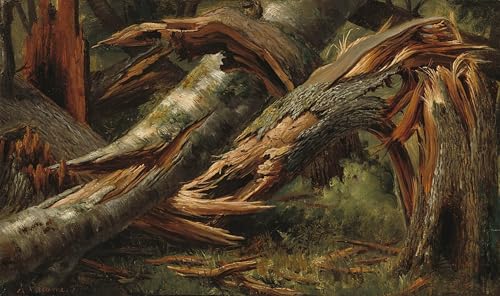 Lienzo L'albero caduto de Alexandre Calame cuadro clásico de 60x90cm