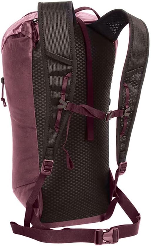 Blue Ice Dragonfly 26L