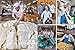 Pizza Napoli: Pizza Pilgrims Recipes and Stories from the Birthplace of Pizza