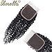 Amella Hair Brazilian Virgin Kinky Curly Hair 4x4 Swiss Lace Closure Free Part 8A 100% Unprocessed Brazilian Curly Hair Closure Natural Black Color (14inch lace closure）