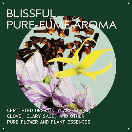 Aveda Styling Control Paste 75ml - cera fijación fuerte