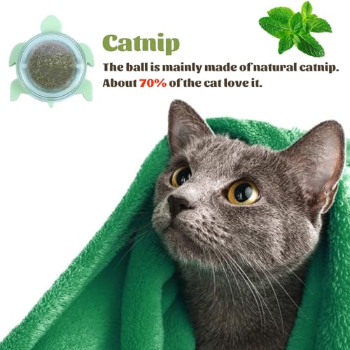 Image of Sichumaria Catnip Wall Toys,Catnip Balls Teeth Cleaning Cat Bite Toy,Edible Cat Licking Toy, Cat Chew Toy, Teeth Cleaning Cat Bite Toy, Rotatable Indoor Cat Toy (1Pcs,Blue)