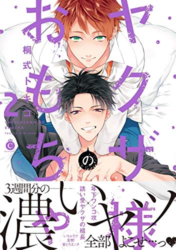 『ヤクザ様のおもちゃ』2巻