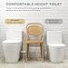 Compact One Piece Toilet with Quiet Soft Close Seat, Elongated Dual Flush 1.1/1.6GPF Standard Modern Toilet with Comfortable Seat Height, Easy-Clean Skirted Design, 12