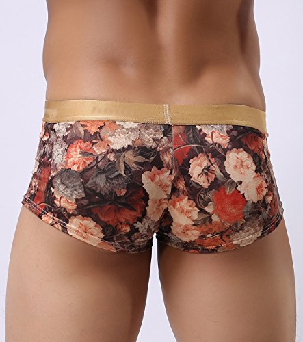 Mendove Men's Sexy Penh Vintage Floral Printed Boxer Briefs3