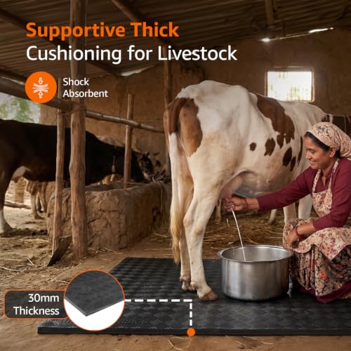 Image of Amazon Basics Premium EVA Cow Mat | 8x5 ft | 30mm Thick | Durable, Shock-Absorbent & Waterproof | Anti-Slip & Easy to Clean | Ideal for Cows, Buffaloes & Dairy Farms(Super Deluxe, Black)