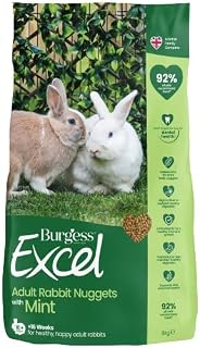 Burgess Excel Nuggets with Mint Adult Rabbit Food 9 kg, Green