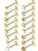 Chuangdi 16 Pieces 16 G Labret Nose Studs Piercing Lips Stainless Steel Tragus Nose Assorted Design Piercing Jewelry for Women (Gold)