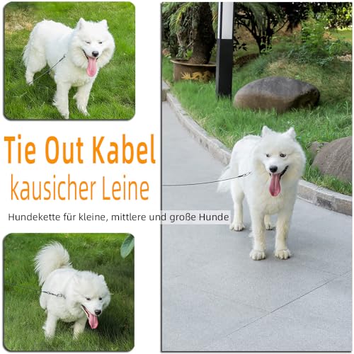 Mi Metty Tie-Out Leinen für Hunde, 3m Kausichere Hundeleinen,Tie Out Cables Hofleine für Kleine Hunde bis zu 60 Pfund(Schwarz, 10ft(3M))
