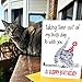 PepperZone Have a Purrfect Happy Birthday, Funny Grumpy Bday Card, Cartoon Art Handmade Card for Cat Mom, Dad, Him, Husband, Boyfriend, 21st 30th 40th 50th 60th