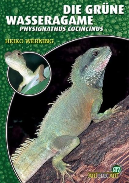 Die Grüne Wasseragame: Physignathus cocincinus (Buchreihe Art für...