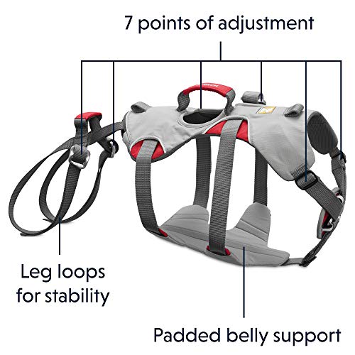 Ruffwear Kletter-Hundegeschirr, Mittelgroße Hunderassen, Größenverstellbar, Größe: M, Grau, Doubleback Geschirr, 30301-045M